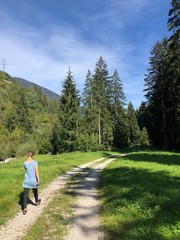 bosco camminare nel bosco montagna larice abete natura benessere sport