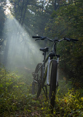 Obraz na płótnie Canvas Mountain bike in the forest is sundered by a ray