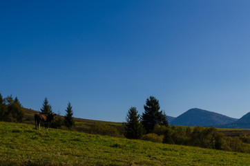 Carpathian mountains in sunny day in the autumn season