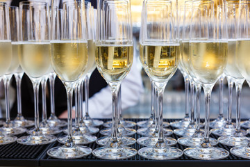 Glasses with champagne lined up for banquet