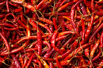 Dry red chili pepper