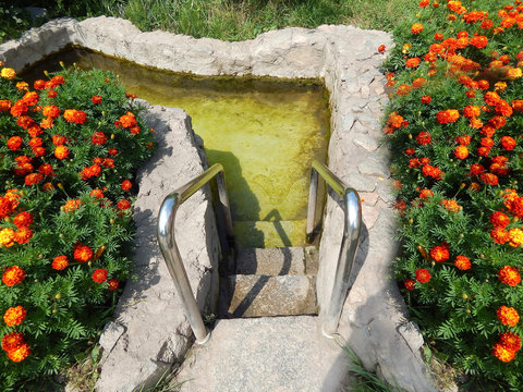 decorative pool for the baptism of swimming in the sunny summer horizontal photo