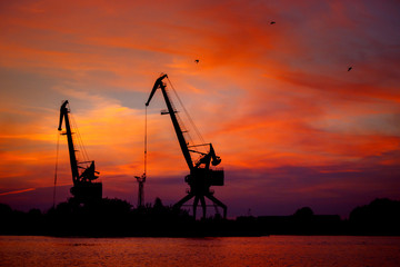 View on seaport with cranes at sunset. Evening panorama of the cargo port