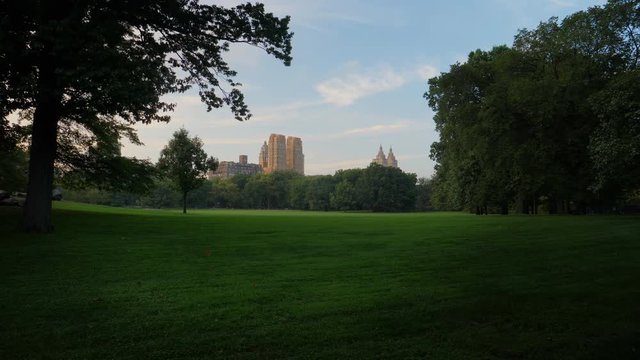 A wide establishing shot of the Sheep Meadow lawn in Central Park on a warm summer evening. Upscale condo buildings seen in the distance.  	