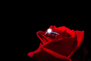 Anillo de compromiso sobre una rosa roja con fondo negro