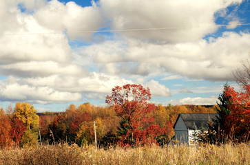 Rustic Autumn LandscAPE
