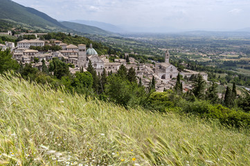 Fototapeta na wymiar Assisi-umbria.Italy
