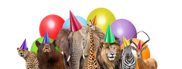 Wild Animal Birthday Party Web Banner