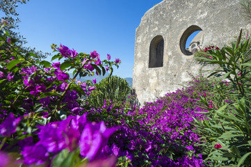 Magenta bougainvillea blossoms surrounding a medieval castle wall under bright blue Mediterranean sky