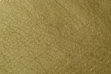 Fabric Texture and Background