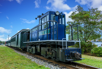 Obraz premium Blue Locomotive and Green Train