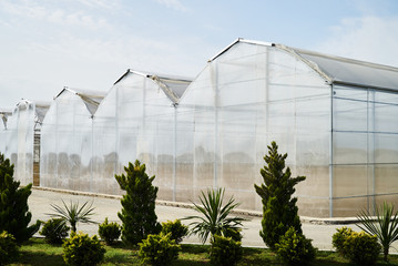 Large greenhouse in the countryside with blue sky background. Modern greenhouse for growing vegetables and flowers. Farming and agriculture concept.