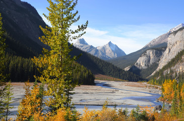 Fototapeta na wymiar Scenic landscape in Jasper national park near Icefields park way