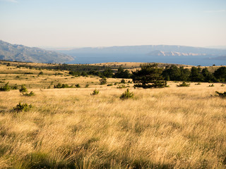 Obraz premium OLYMPUS DIGITAL CAMERA