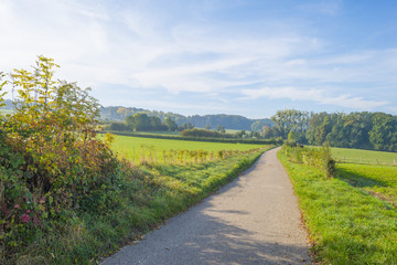 Fototapeta na wymiar Rural landscape in autumn colors in sunlight at fall