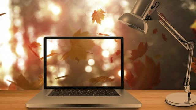 Autumn leaves falling against the laptop 4k