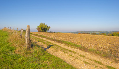 Fototapeta premium Rural landscape in autumn colors in sunlight at fall