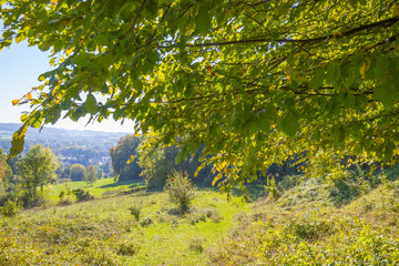 Rural landscape in autumn colors in sunlight at fall