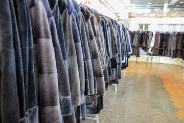 Fur coats on hangers. Fur store. fur coats in a row.