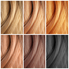 Set with color hair samples. Beauty and professional treatment