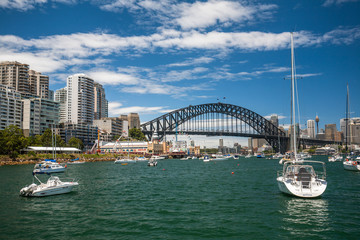 Fototapeta premium Sydney harbour