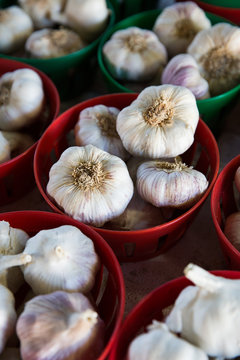 Garlic bulbs in market