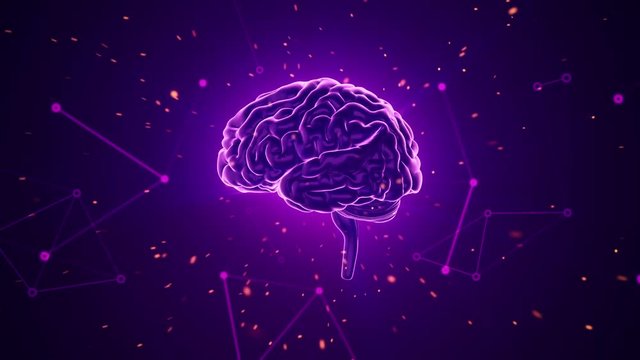 Animation of rotation human brain with flying data around. Animation of seamless loop.