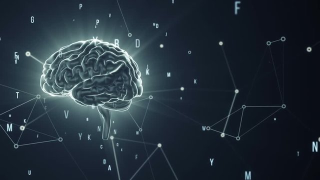 Animation of rotation human brain with flying data around. Animation of seamless loop.