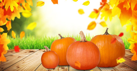 Halloween Motiv