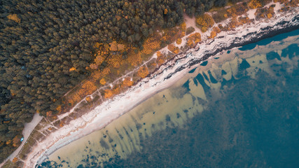 Top aerial drone view of the autumn beautiful wild beach Merem&otilde;isa full of vegetation, coast of the Baltic Sea in Estonia