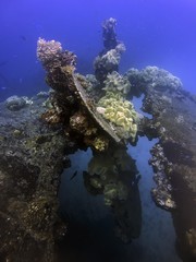 Fototapeta na wymiar The coral encrusted ship screw and rudder of a cargo ship of the Imperial Japanese Navy sunk at Truk Lagoon., Micronesia
