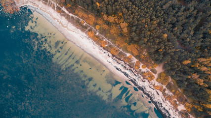 Top aerial drone view of the autumn beautiful wild beach Meremõisa full of vegetation, coast of the Baltic Sea in Estonia