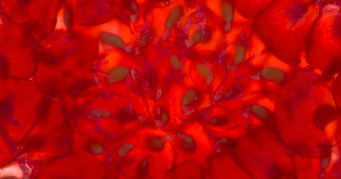 Juice from One Raspberries. Raspberries are compressed and crushed close-up on a bright white background, creating a juicy burst of pulp and a bright shell. Shooting at 120fps