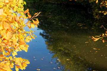 Obraz na płótnie Canvas quiet autumn lake