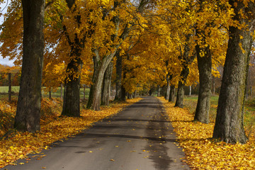 Autumnal landscape./ Autumn road country scene in north Poland
