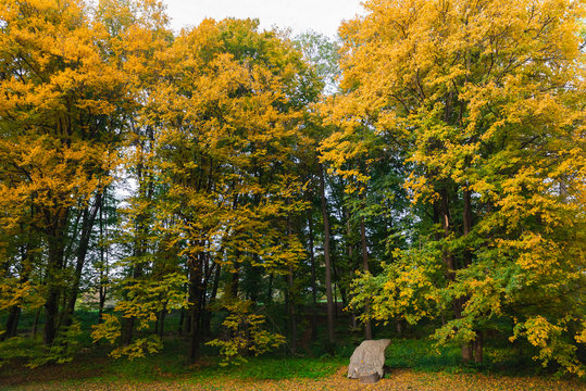 Dendropark Sofievka landscape