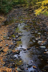 Delaware Township, Pike County, Pennsylvania, USA:  Autumn foliage in a  stream in a wooded area at Dingman’s Falls, in the Delaware Water Gap National Recreation Area.