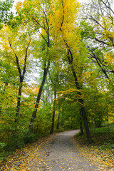 Obraz premium Dendropark Sofievka landscape