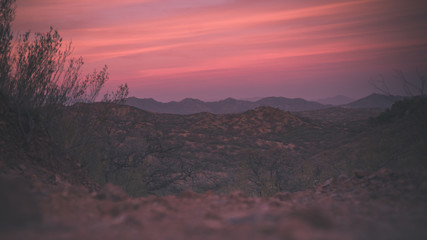 Pink Sunset Over the Desert