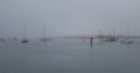 Fototapeta na wymiar Foggy Harbor