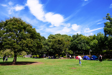 Obraz premium 上尾 円山公園
