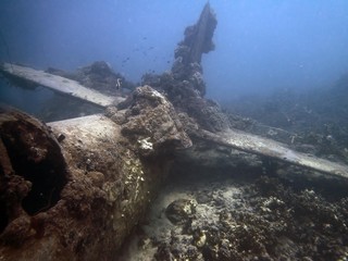 Remains of a World War II Japanese Air Force Nakajima B6N 