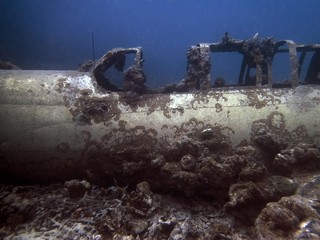 Naklejka premium Remains of a World War II Japanese Air Force Nakajima B6N 