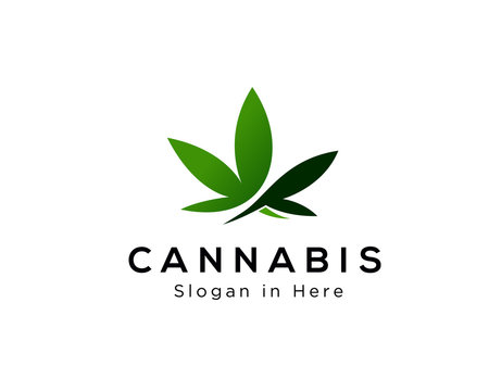 Hemp Marijuana Leaf Icon Vector Logo Template Illustration Design