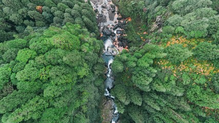 Waterfall from Above