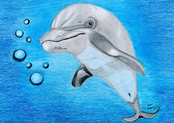 Fototapeta premium DELFÍN