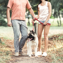 Couple walking with dog in the park.