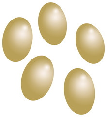 mealworm eggs white background