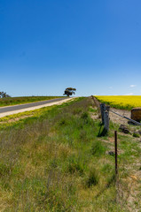 Fence and Road to Horizon vert
