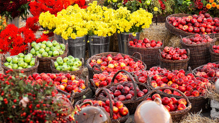 Red and green apples at outdoor farmer market.